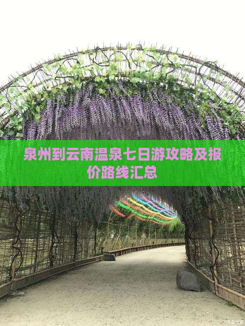 泉州到云南温泉七日游攻略及报价路线汇总