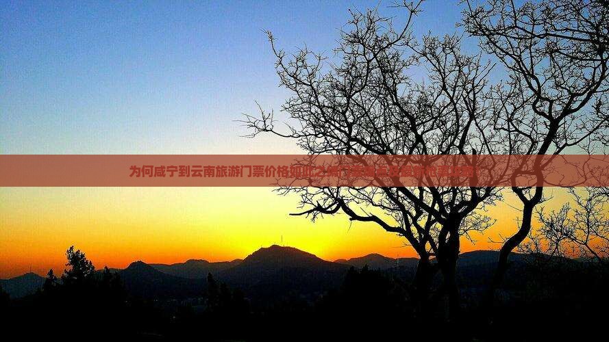为何咸宁到云南旅游门票价格如此之缚门票痛点及最新抢票攻略！