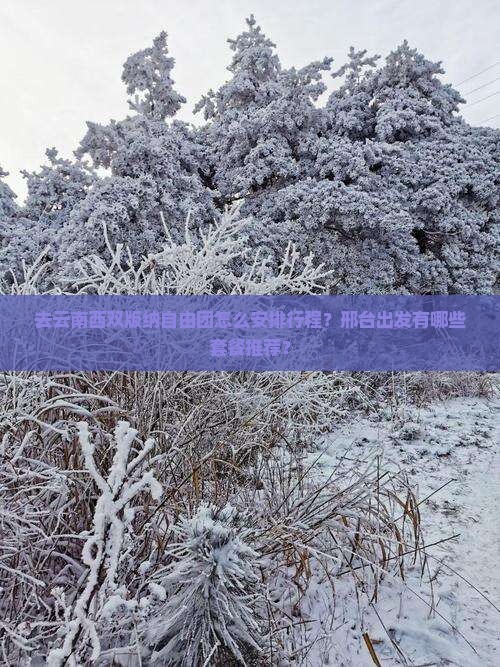 去云南西双版纳自由团怎么安排行程？邢台出发有哪些套餐推荐？
