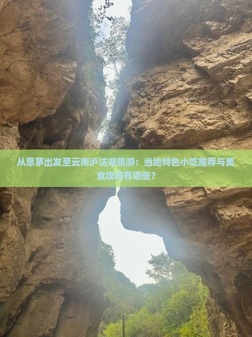 从思茅出发至云南泸沽湖旅游：当地特色小吃推荐与美食攻略有哪些？