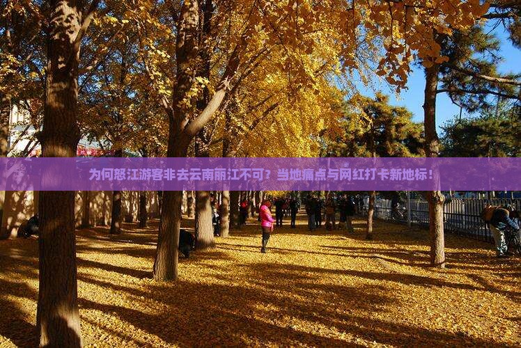 为何怒江游客非去云南丽江不可？当地痛点与网红打卡新地标！