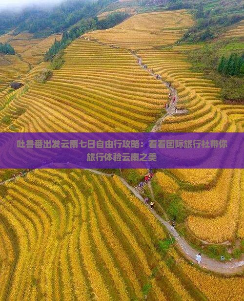 吐鲁番出发云南七日自由行攻略：看看国际旅行社带你旅行体验云南之美