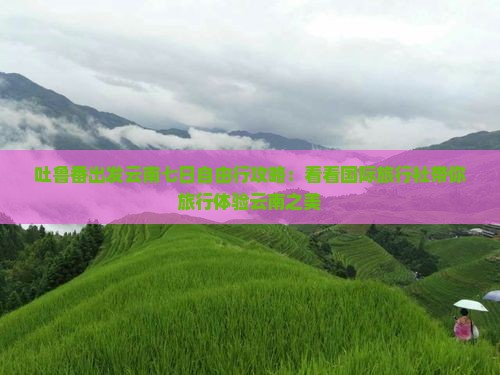 吐鲁番出发云南七日自由行攻略：看看国际旅行社带你旅行体验云南之美