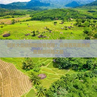 韶关大型旅游团倾情启程：云南西双版纳深度旅游探险之旅