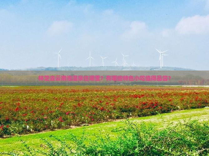 林芝去云南泡温泉住哪里？有哪些特色小吃值得品尝？
