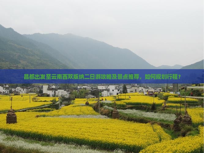 昌都出发至云南西双版纳二日游攻略及景点推荐，如何规划行程？