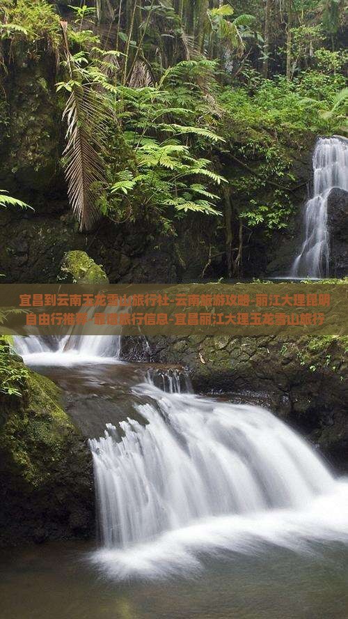 宜昌到云南玉龙雪山旅行社-云南旅游攻略-丽江大理昆明自由行推荐-靠谱旅行信息-宜昌丽江大理玉龙雪山旅行