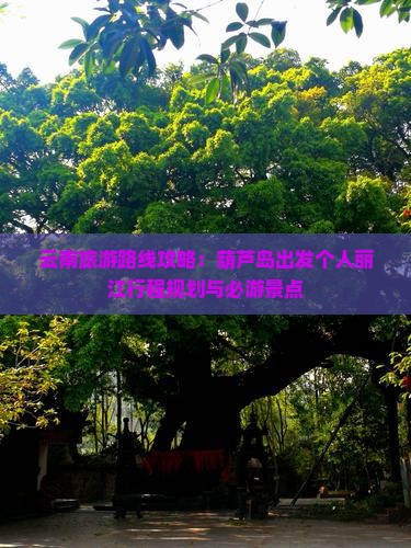 云南旅游路线攻略：葫芦岛出发个人丽江行程规划与必游景点