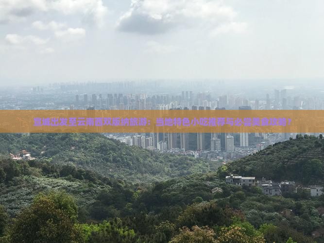 宣城出发至云南西双版纳旅游：当地特色小吃推荐与必尝美食攻略？