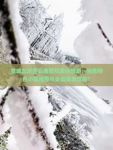 宣城出发至云南西双版纳旅游：当地特色小吃推荐与必尝美食攻略？