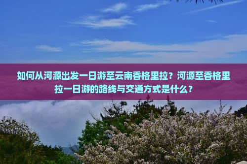 如何从河源出发一日游至云南香格里拉？河源至香格里拉一日游的路线与交通方式是什么？