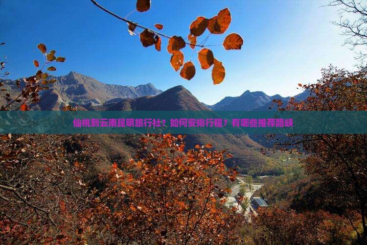 仙桃到云南昆明旅行社？如何安排行程？有哪些推荐路峡