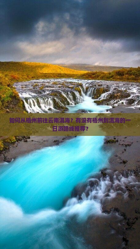 如何从梧州前往云南洱海？有没有梧州到洱海的一日游路线推荐？