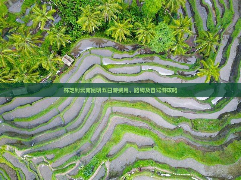 林芝到云南昆明五日游费用、路线及自驾游攻略