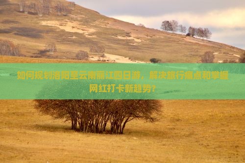 如何规划洛阳至云南丽江四日游，解决旅行痛点和掌握网红打卡新趋势？