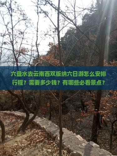 六盘水去云南西双版纳六日游怎么安排行程？需要多少钱？有哪些必看景点？