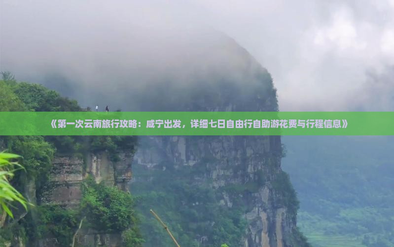 《第一次云南旅行攻略：咸宁出发，详细七日自由行自助游花费与行程信息》