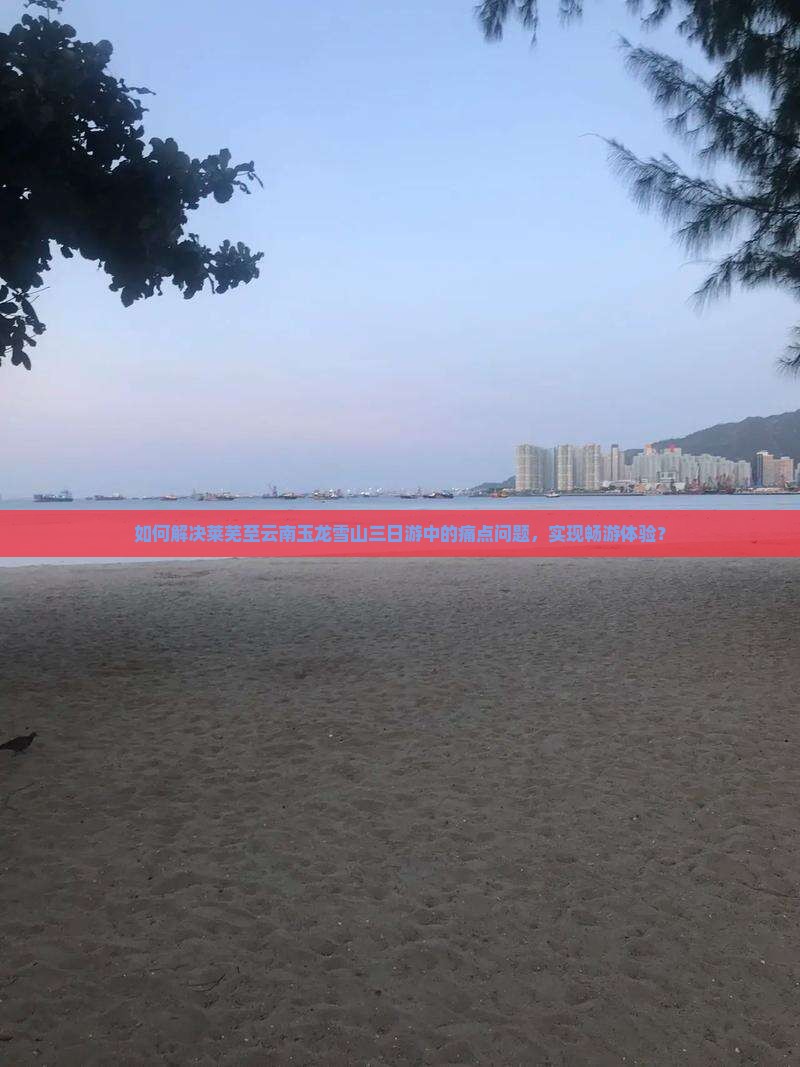 如何解决莱芜至云南玉龙雪山三日游中的痛点问题，实现畅游体验？