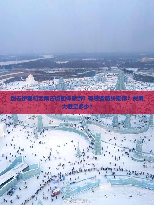 想去伊春和云南古城团体旅游？有哪些路线推荐？费用大概是多少？