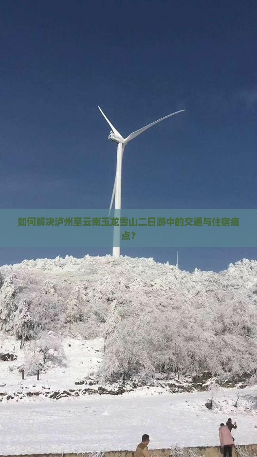 如何解决泸州至云南玉龙雪山二日游中的交通与住宿痛点？