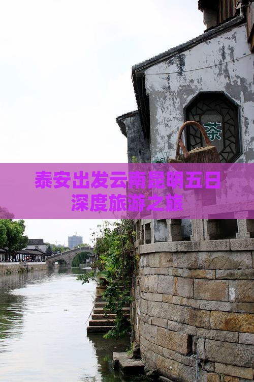泰安出发云南昆明五日深度旅游之旅