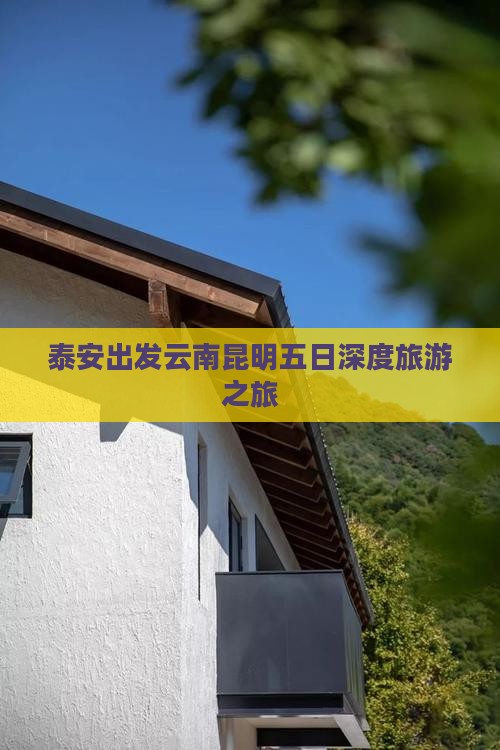 泰安出发云南昆明五日深度旅游之旅