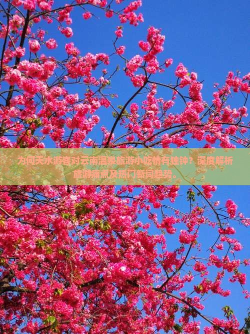为何天水游客对云南温泉旅游小吃情有独钟？深度解析旅游痛点及热门新词趋势。