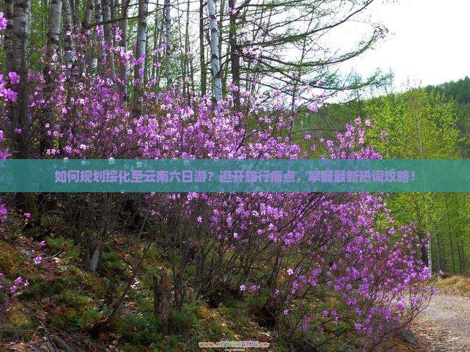如何规划绥化至云南六日游？避开旅行痛点，掌握最新热词攻略！