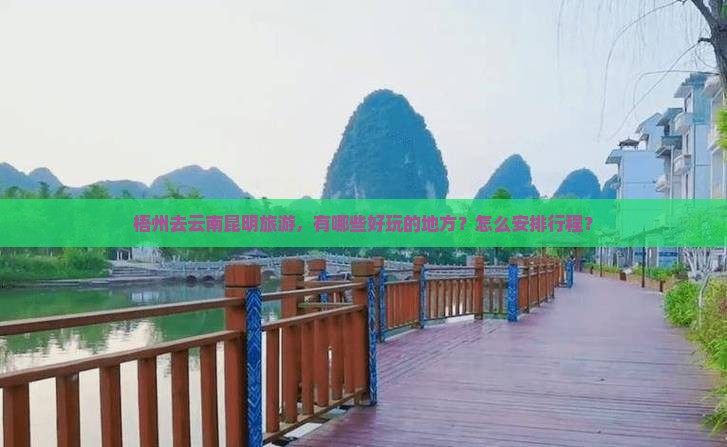 梧州去云南昆明旅游，有哪些好玩的地方？怎么安排行程？