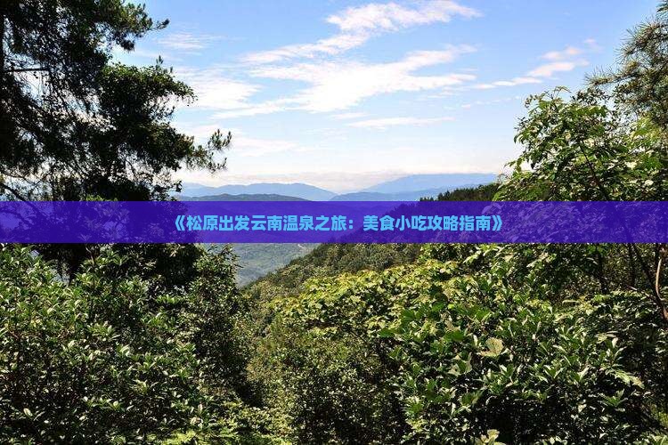 《松原出发云南温泉之旅：美食小吃攻略指南》