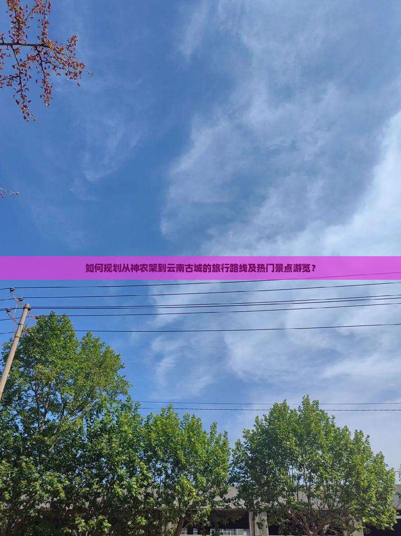 如何规划从神农架到云南古城的旅行路线及热门景点游览？