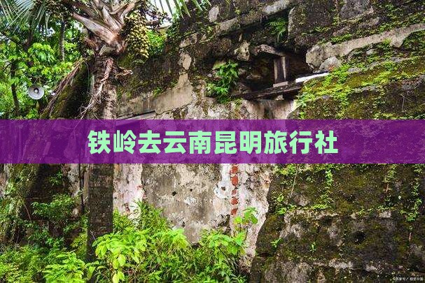 铁岭去云南昆明旅行社