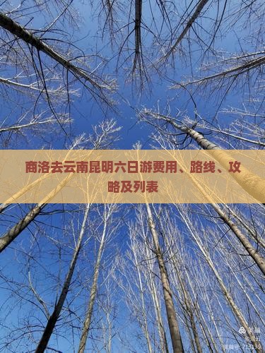 商洛去云南昆明六日游费用、路线、攻略及列表