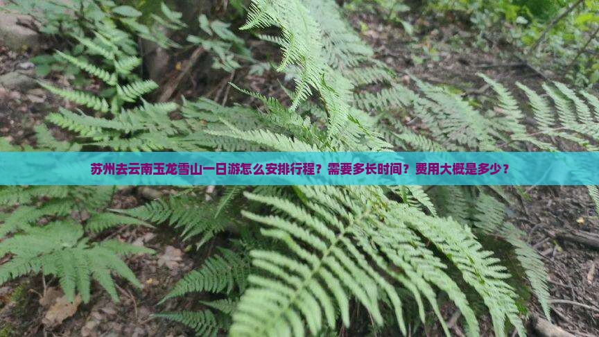苏州去云南玉龙雪山一日游怎么安排行程？需要多长时间？费用大概是多少？