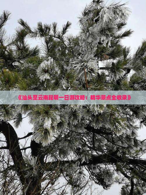《汕头至云南昆明一日游攻略：精华景点全收录》
