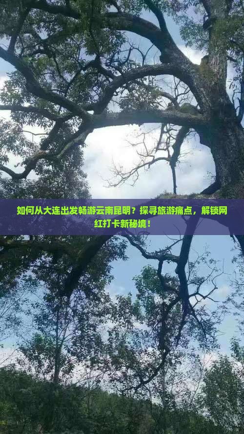 如何从大连出发畅游云南昆明？探寻旅游痛点，解锁网红打卡新秘境！