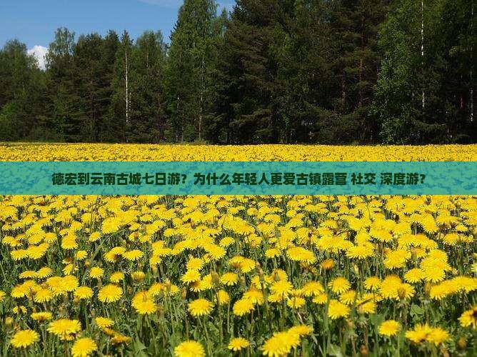 德宏到云南古城七日游？为什么年轻人更爱古镇露营+社交+深度游？