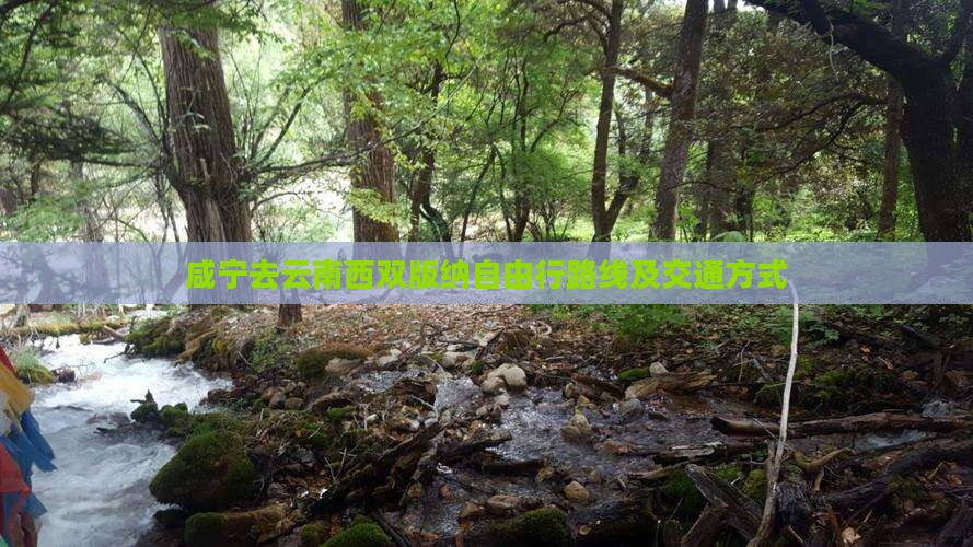 咸宁去云南西双版纳自由行路线及交通方式
