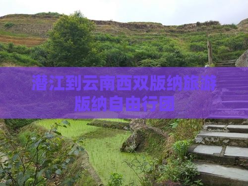 潜江到云南西双版纳旅游版纳自由行团