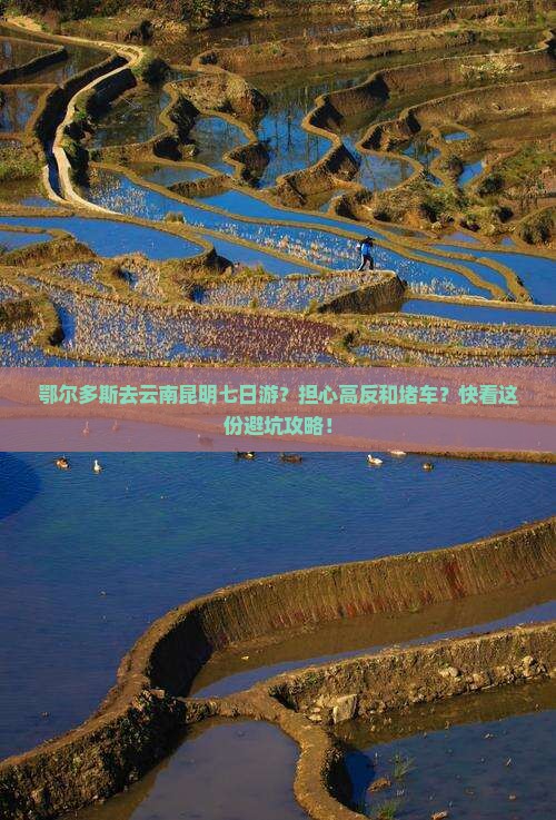 鄂尔多斯去云南昆明七日游？担心高反和堵车？快看这份避坑攻略！