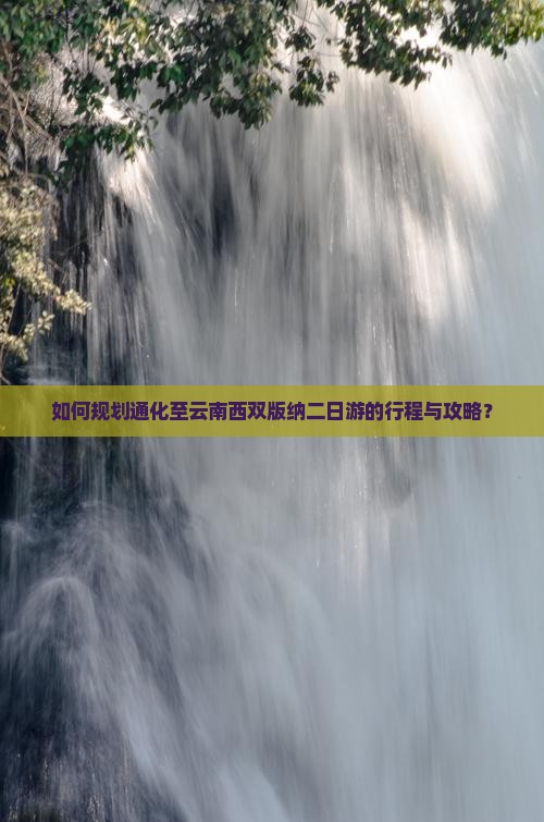 如何规划通化至云南西双版纳二日游的行程与攻略？