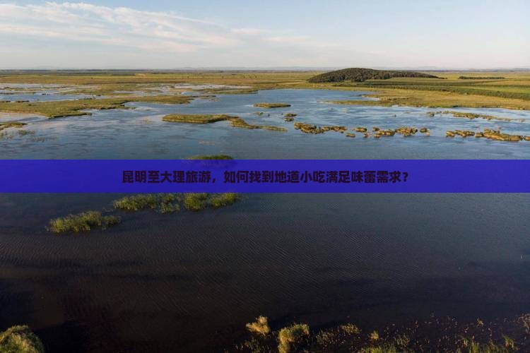 昆明至大理旅游，如何找到地道小吃满足味蕾需求？