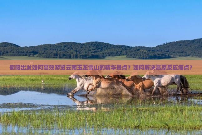 衡阳出发如何高效游览云南玉龙雪山的精华景点？如何解决高原反应痛点？