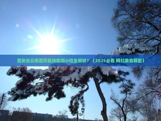 西安去云南西双版纳旅游小吃