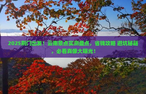 荆门到云南景点