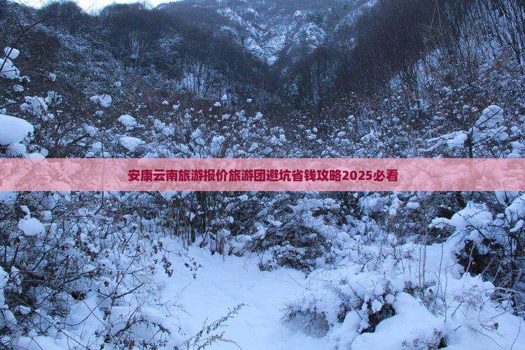 安康去云南古城自由团