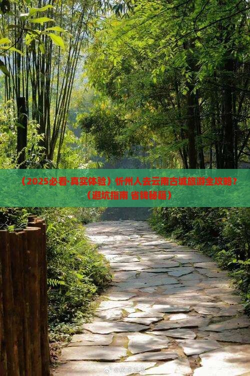 忻州去云南古城旅行社