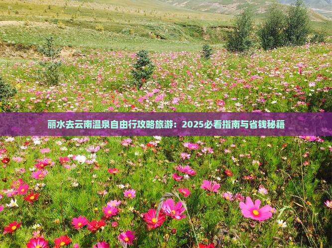 丽水去云南温泉自由行
