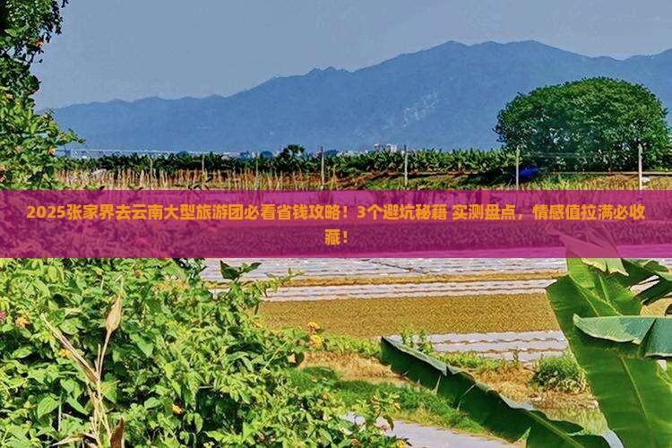张家界去云南大型旅游团