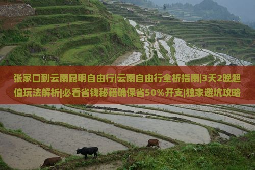 张家口到云南昆明自由行